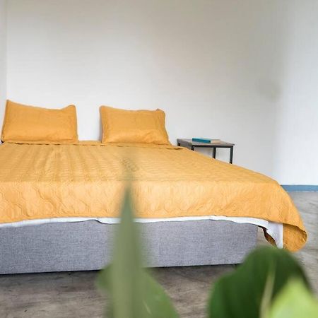 Nappo Room 2 Alajuela, Heredia,Sjo,5Min From Airport No Parking Guácima Eksteriør billede